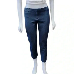 Banana Republic  Sloan Blue Ankle Textured Pants Size 10